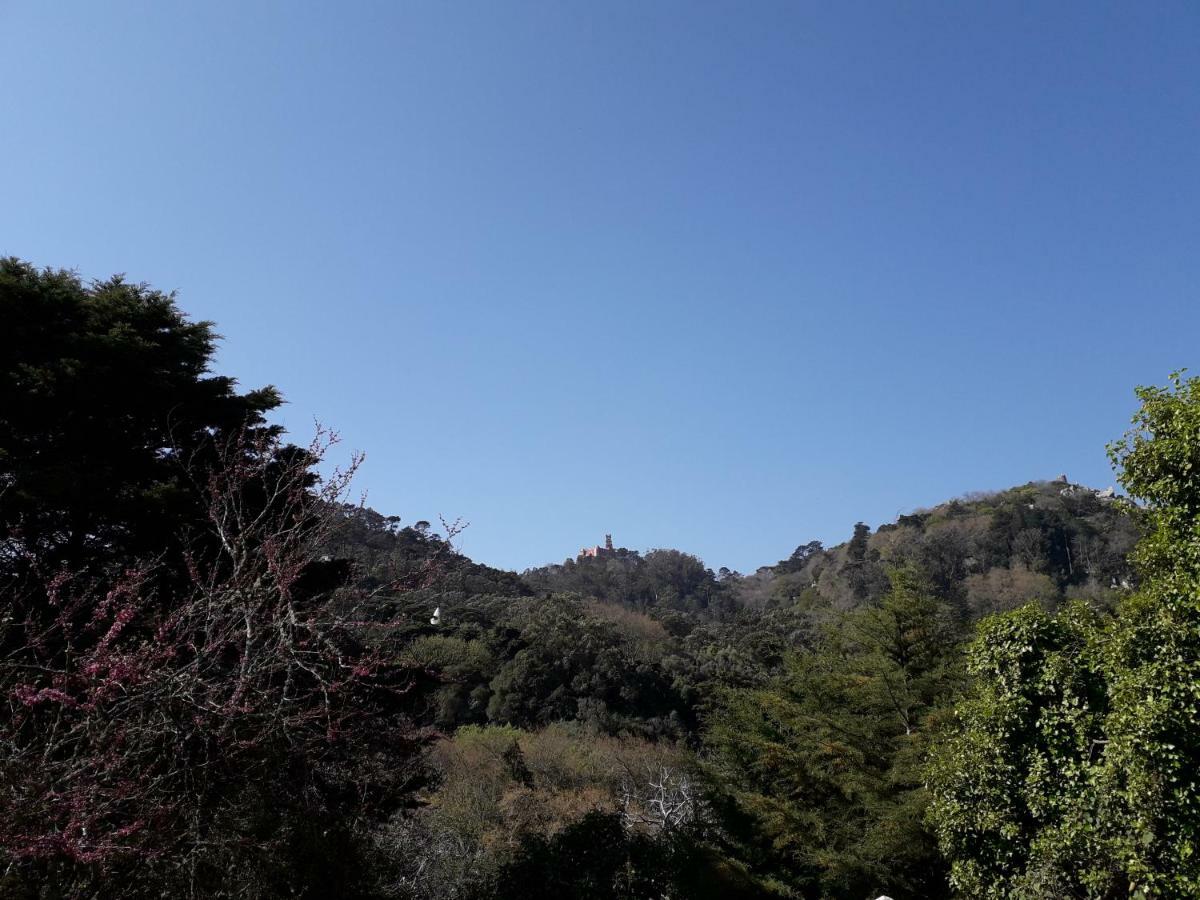 A Casinha Villa Sintra Exteriör bild